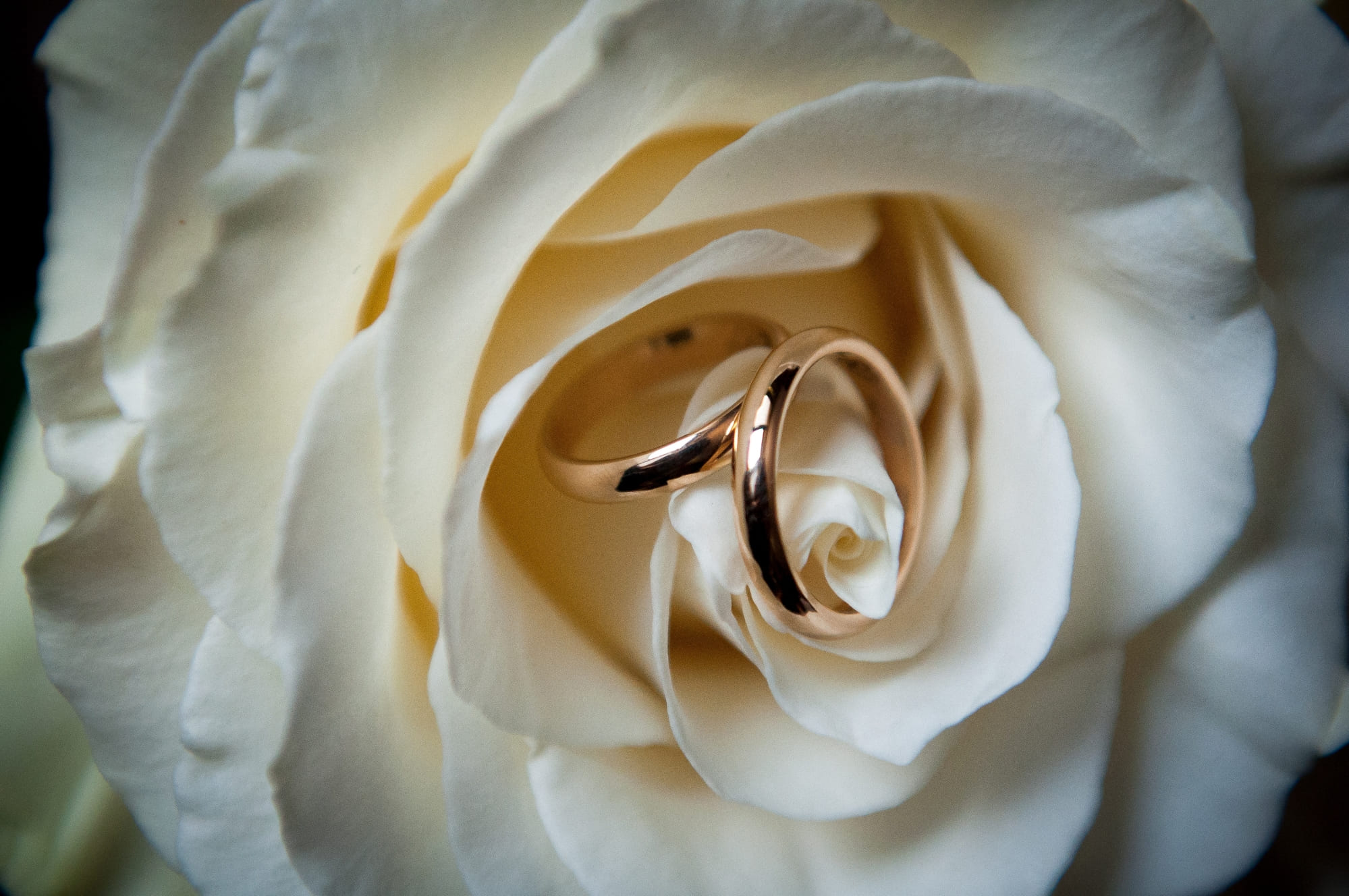 Love Setups SERVICIOS DE WEDDING PLANNING